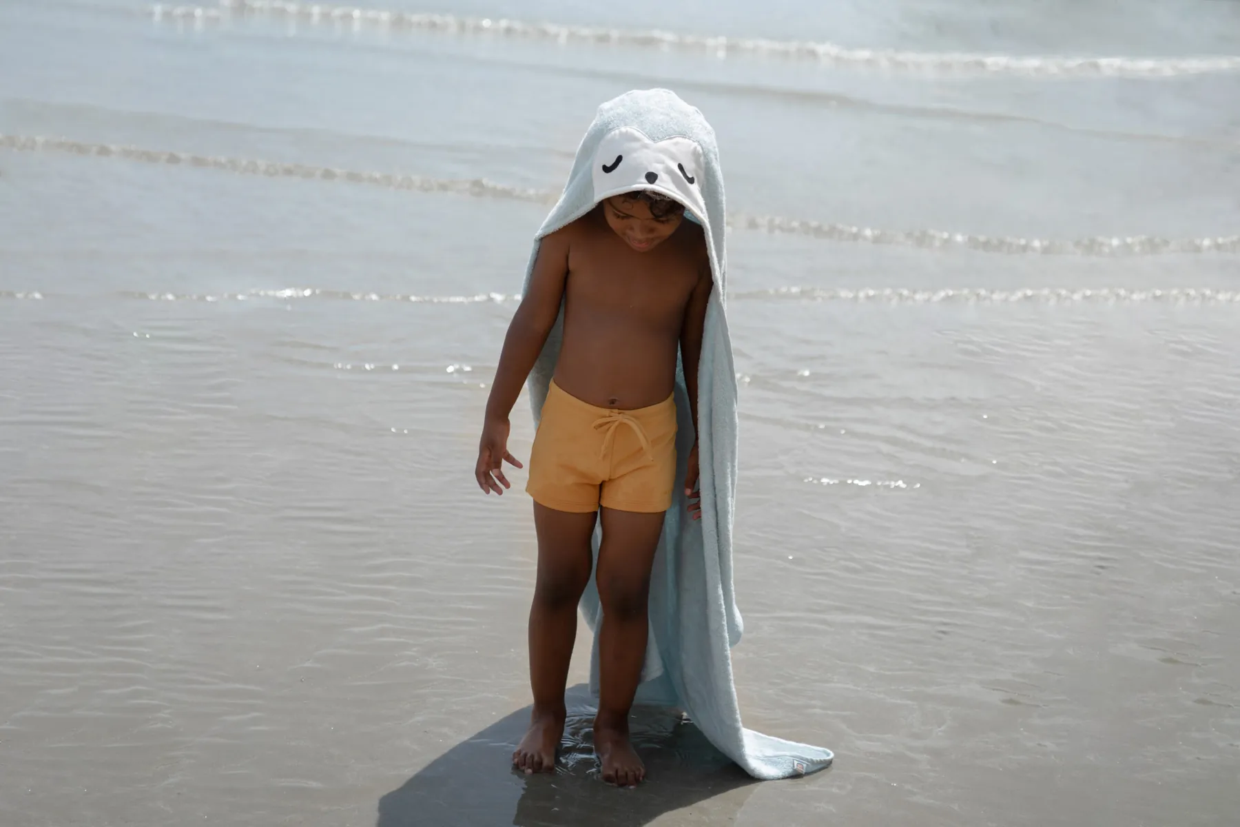 Animal Hooded Towel 2