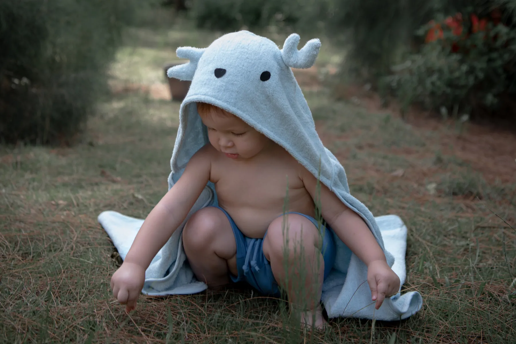 Animal Hooded Towel 4