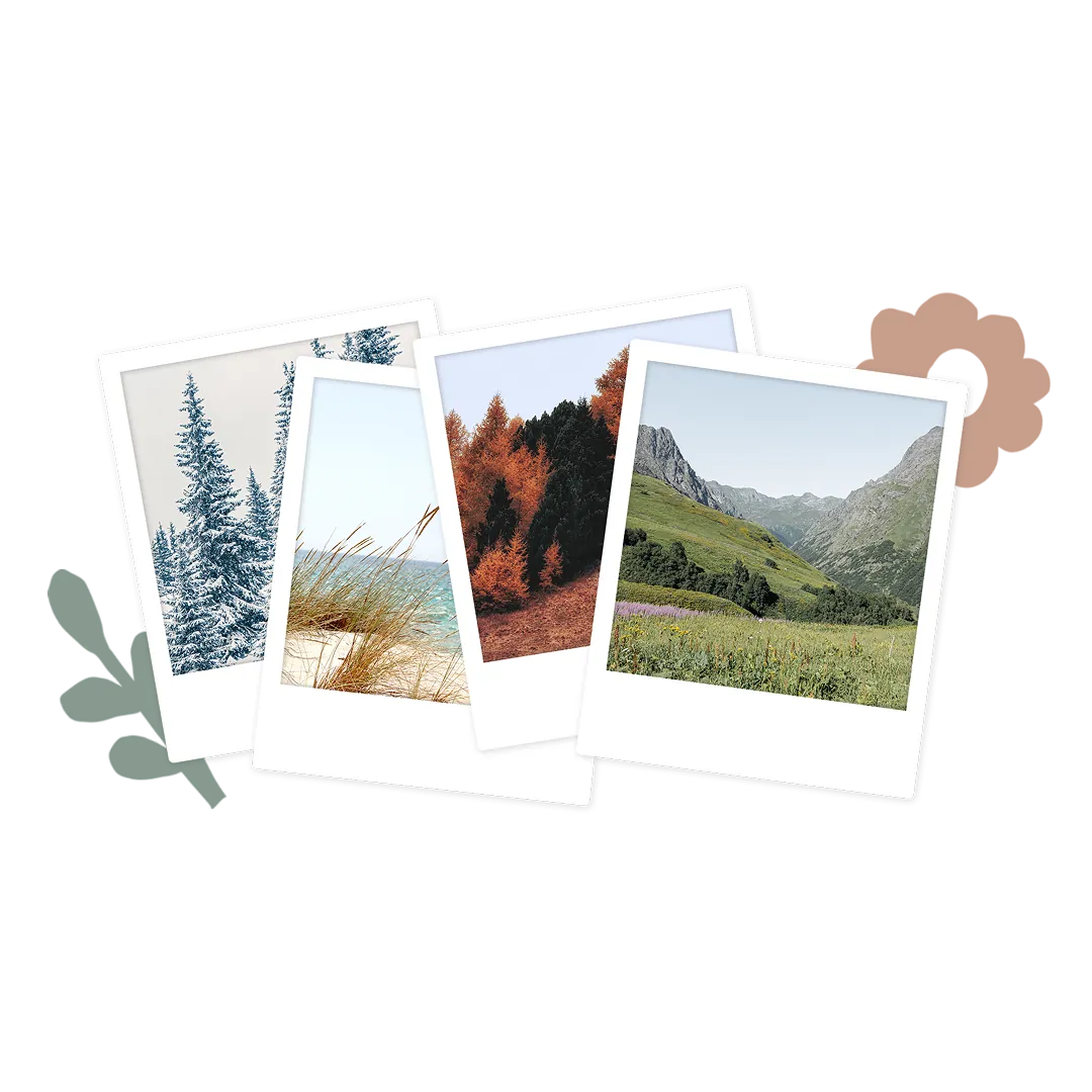 Polaroids of the four seasons
