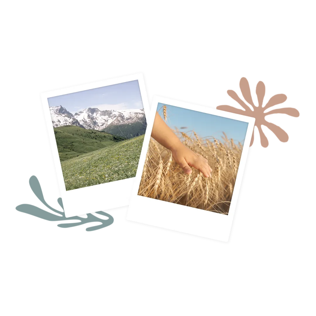 Polaroids of mountains and fields